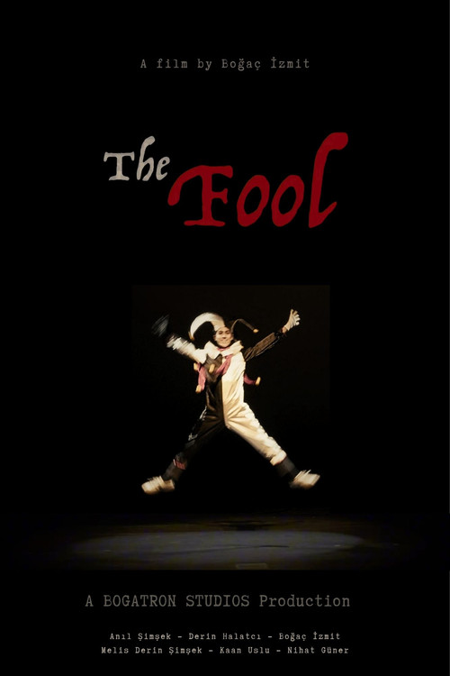 The Fool (2026) movie poster