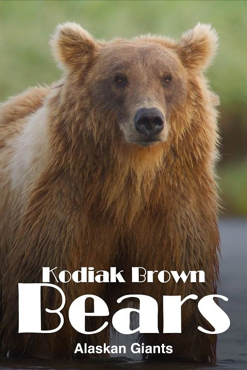 Alaska's Giant Bears (2023) movie poster
