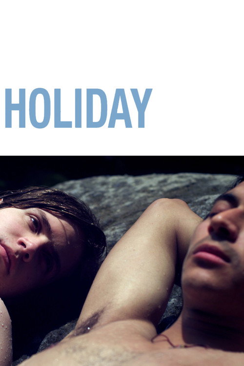 Holiday (2014) movie poster