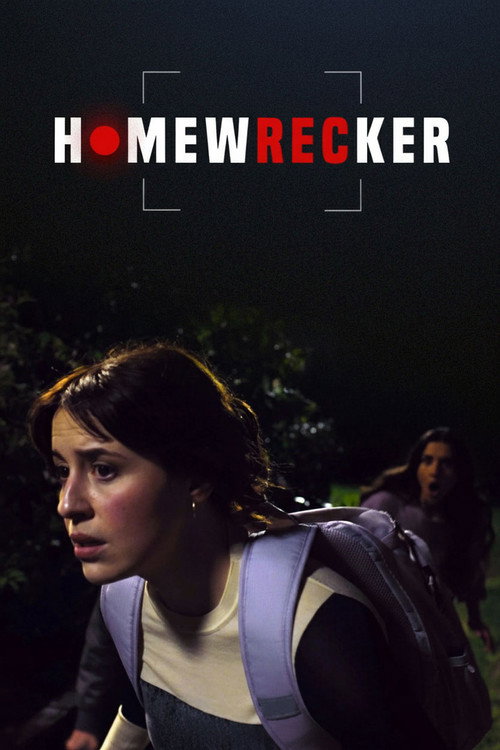 Homewrecker (2025) movie poster