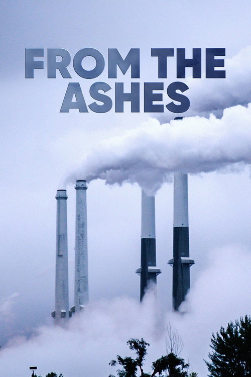 From the Ashes (2017) movie poster