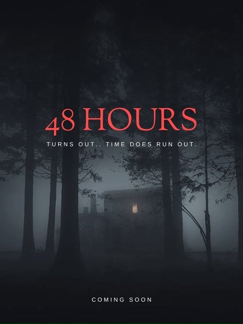 48 Hours (2026) movie poster
