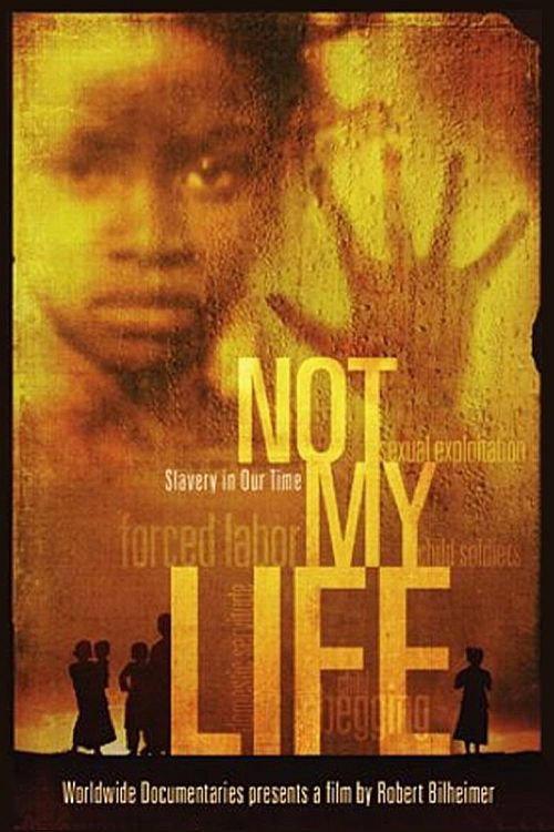Not My Life (2011) movie poster