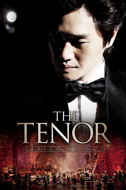 The Tenor - Lirico Spinto (2014) movie poster