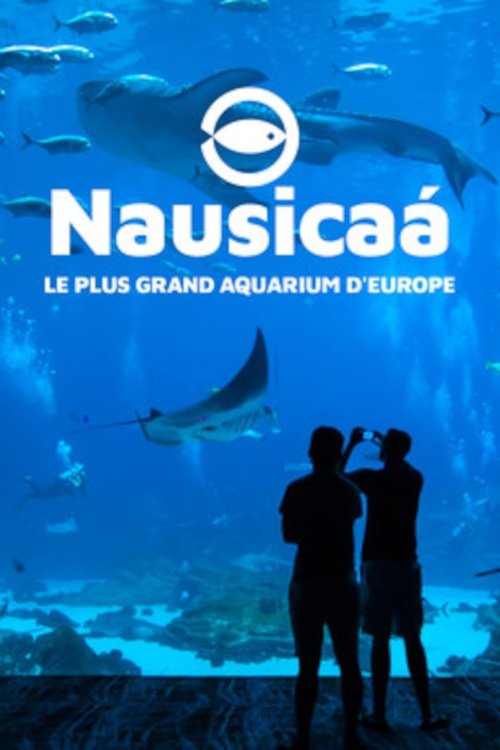 Nausicaa: The Largest Aquarium in Europe (2019) movie poster