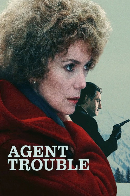 Agent trouble (1987) movie poster