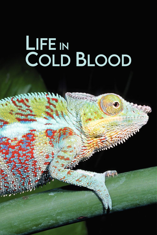 Life in Cold Blood (2008) TV show poster