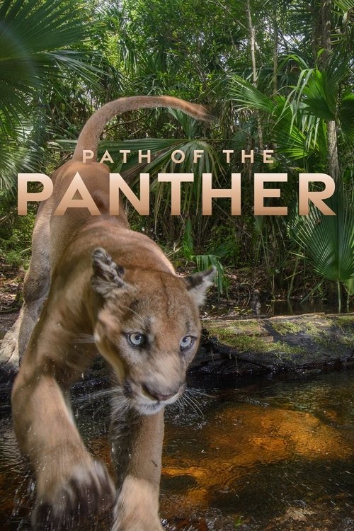 Path of the Panther (2022) movie poster
