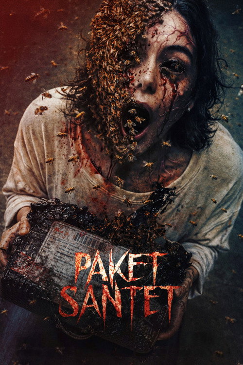 A Delivery from Hell (2026) movie poster