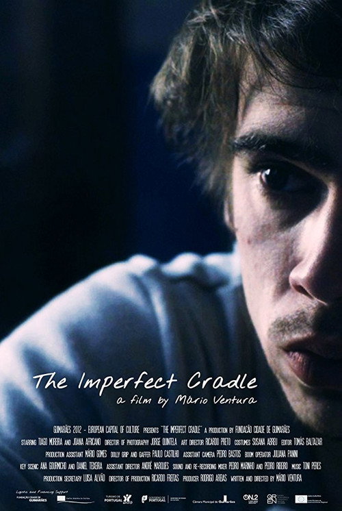 The Imperfect Cradle (2013) movie poster
