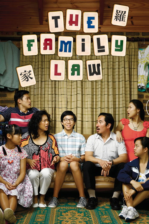 The Family Law (2016) TV show poster