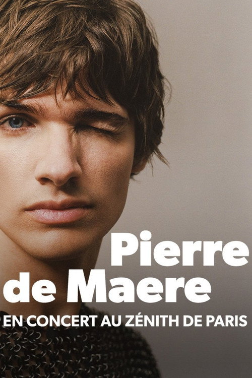 Pierre de Maere en concert au Zénith de Paris (2024) movie poster