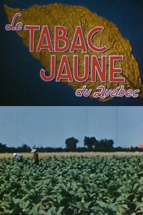 Yellow Tobacco from Quebec (1951) movie poster