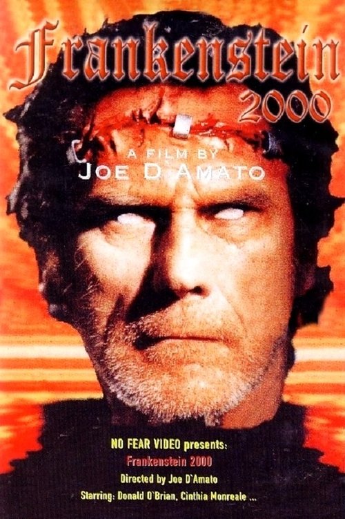 Return from Death: Frankenstein 2000 (1991) movie poster