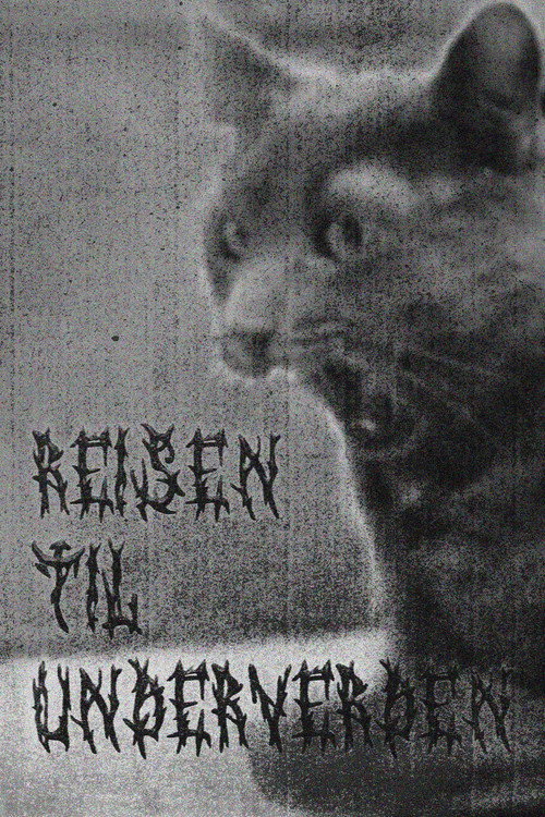 Reisen til Underverden (2026) movie poster