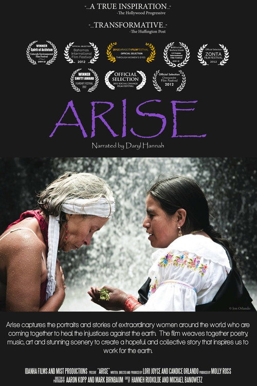Arise (2013) movie poster