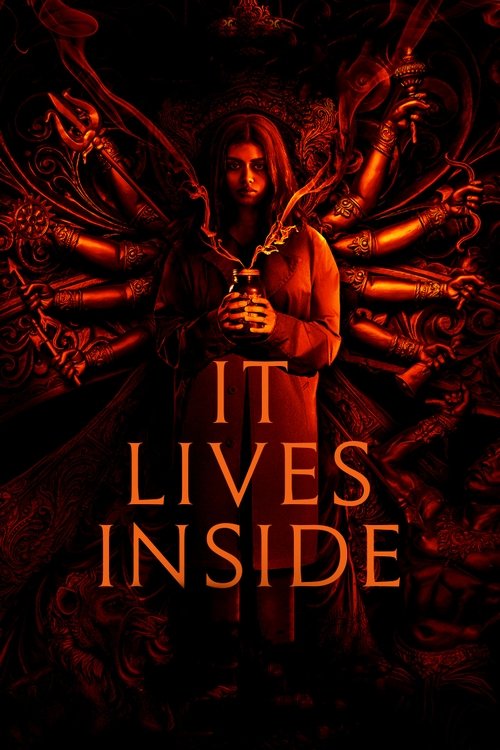 It Lives Inside (2023) movie poster