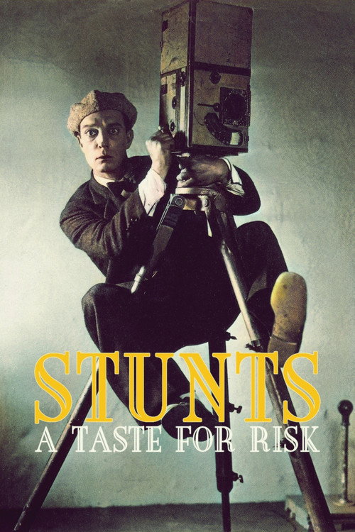 Stunts: A Taste for Risk (2023) movie poster