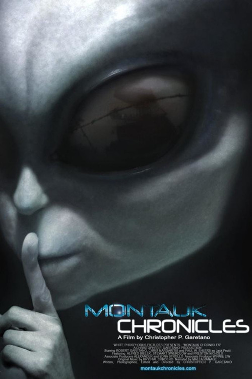 Montauk Chronicles (2015) movie poster