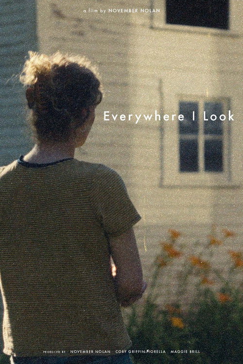 Everywhere I Look (2025) movie poster