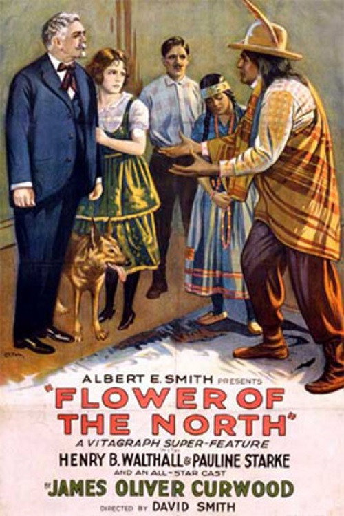 Flower of the North (1921) movie poster