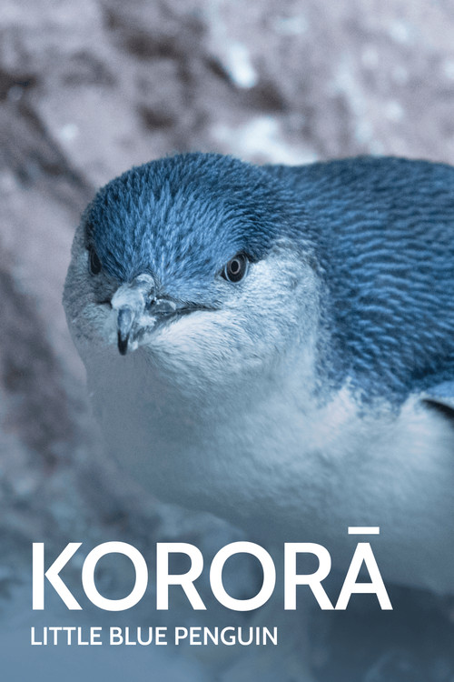 Kororā: Little Blue Penguin (2021) movie poster