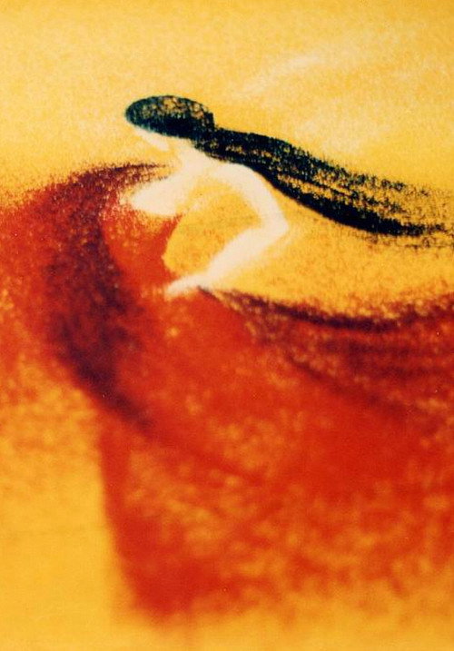 Carmen Suite (1994) movie poster