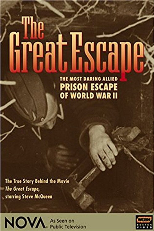 Great Escape (2004) movie poster
