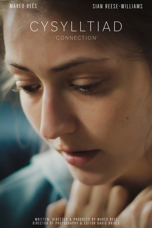 Connection (2021) movie poster