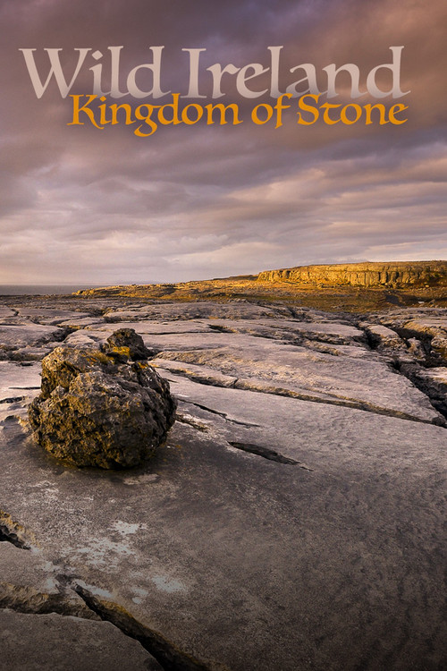 Wild Ireland: Kingdom of Stone (2024) movie poster