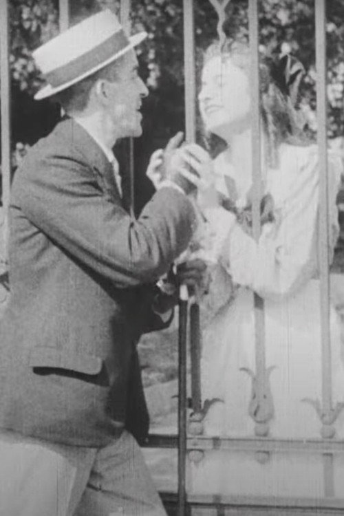 Love is Madness (1917) movie poster