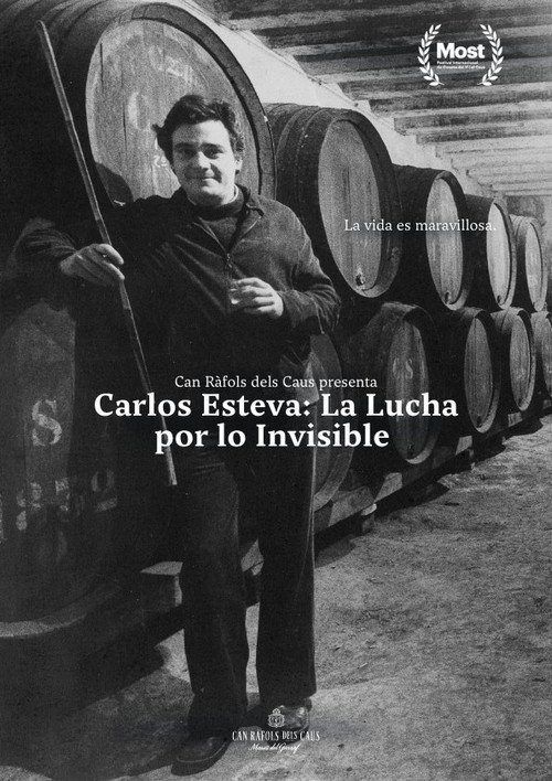 Carlos Esteva: the fight for the invisible (2024) movie poster