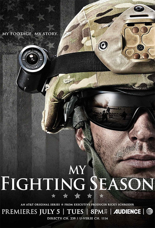 My Fighting Season (2016) TV show poster