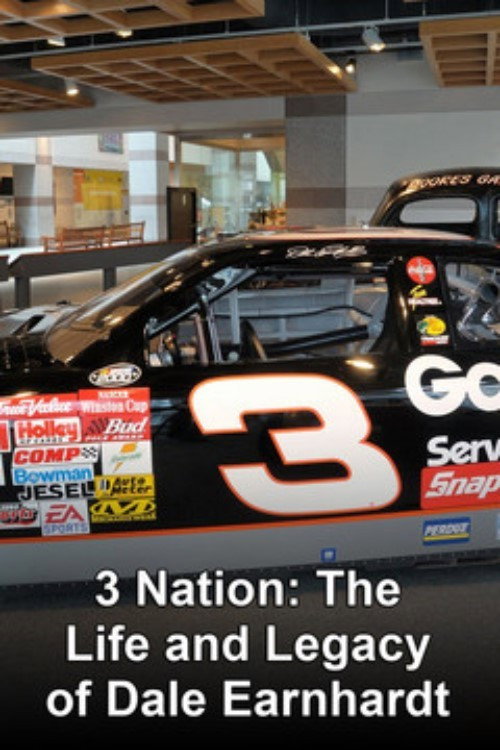 3 Nation: The Life and Legacy of Dale Earnhardt (2004) movie poster