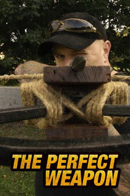 Perfect Weapon (2008) TV show poster
