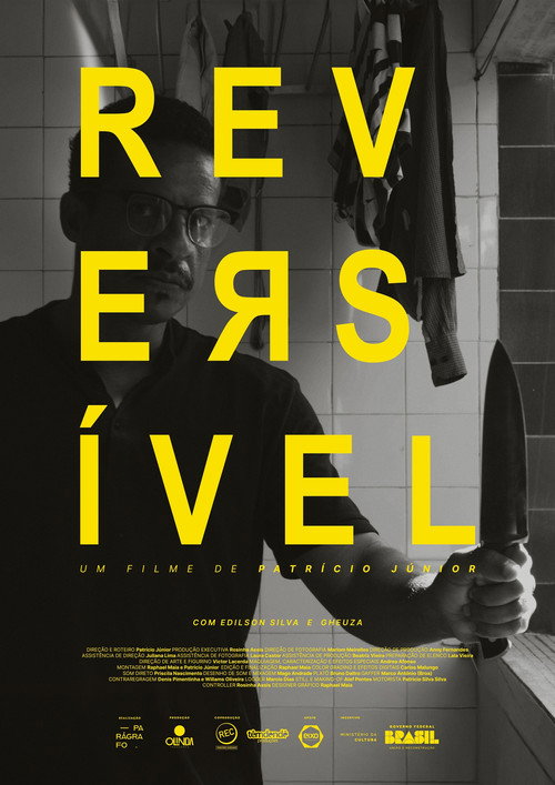 Reversível movie poster