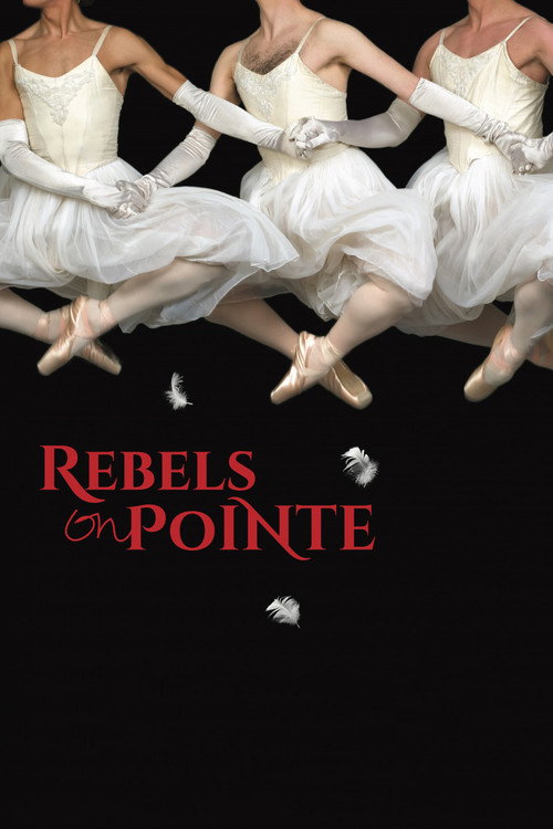 Rebels on Pointe (2017) movie poster