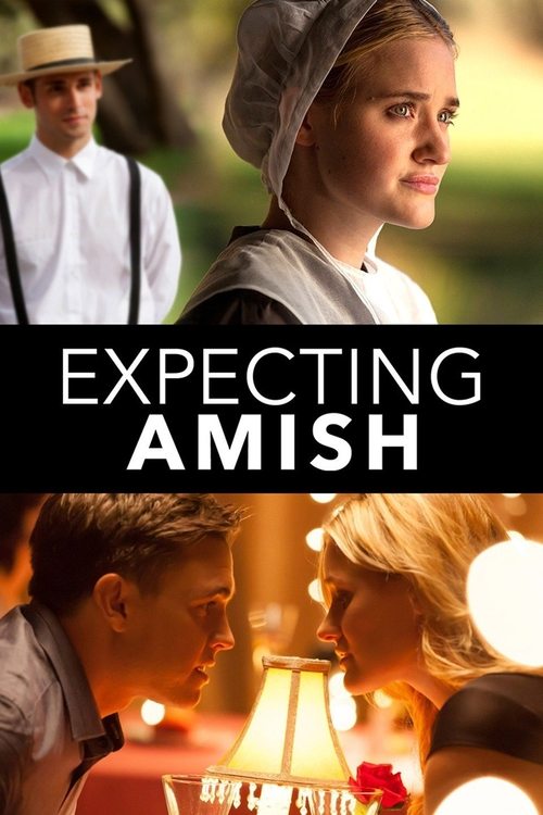 Expecting Amish (2014) movie poster