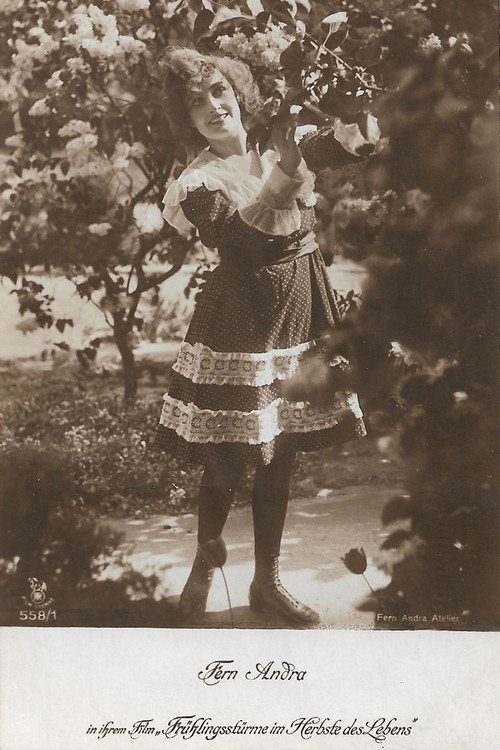 Frühlingsstürme im Herbste des Lebens (1918) movie poster