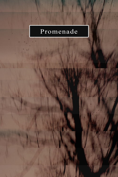 Promenade (2019) movie poster