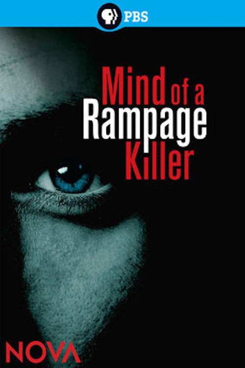Mind of a Rampage Killer (2013) movie poster