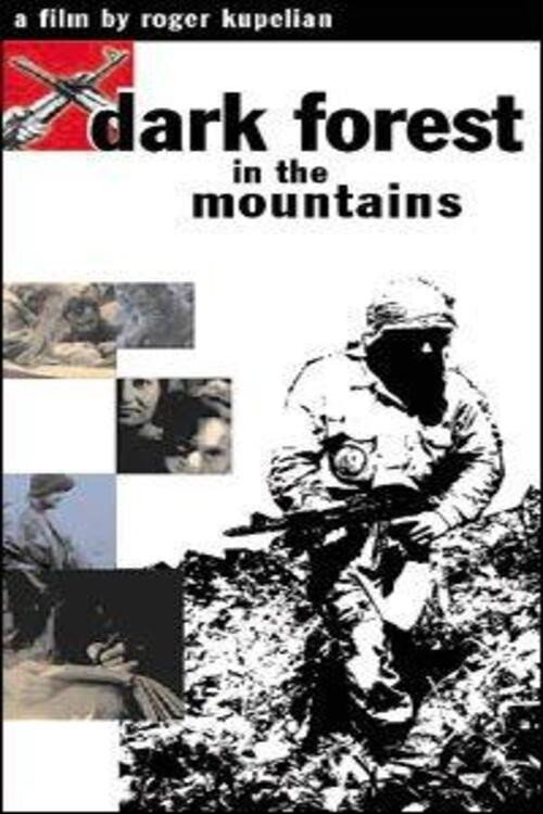 Dark Forest in the Moutains (2002) movie poster