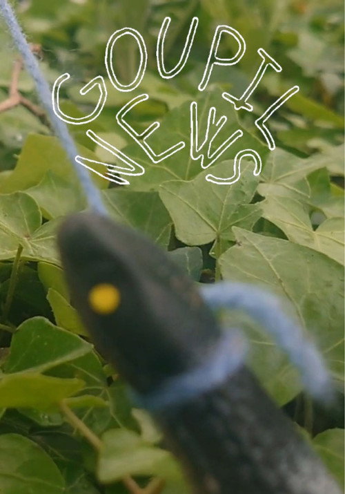 Goupil News (2025) movie poster
