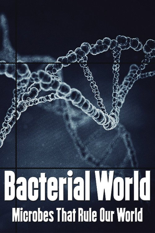 Bacterial World (2016) movie poster