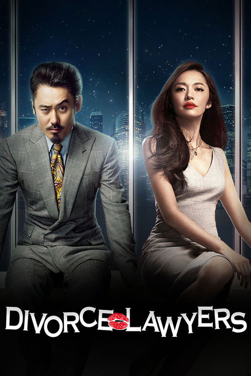 Divorce Lawyers (2014) TV show poster