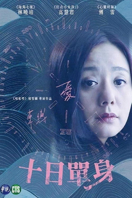 十日單身 (2015) movie poster