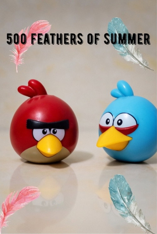 500 Feathers of Summer movie poster