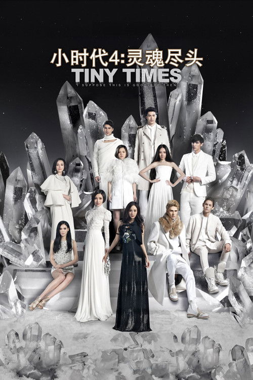 Tiny Times 4 (2015) movie poster