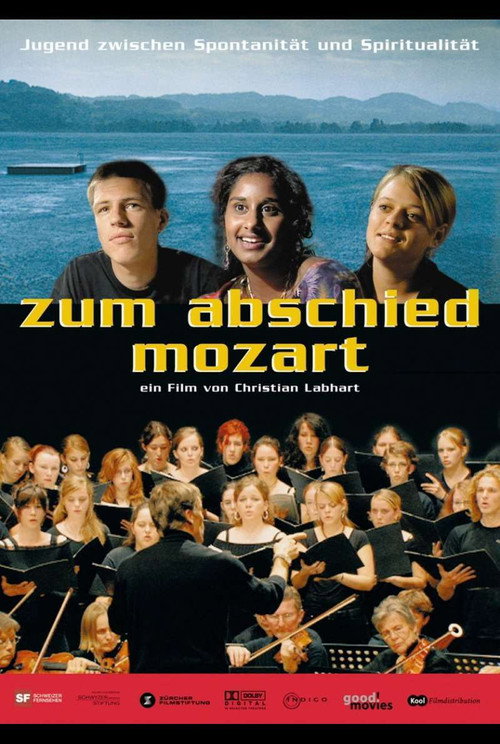 Zum Abschied Mozart (2007) movie poster