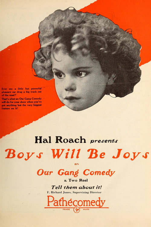 Boys Will Be Joys (1925) movie poster